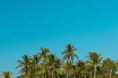 cestovatelka, život