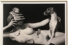 Peter Witkin, Rozbitý svět