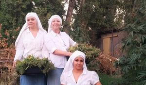 řadové sestry, marihuana, tráva, pěstování, jeptišky