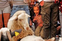 Španělsko, Madrid, ovce, pochod, tradice