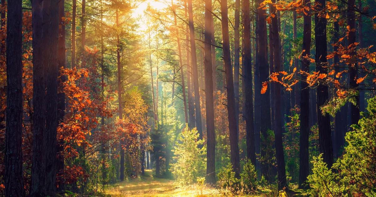 Víkend přinese v Česku babí léto, teploty se mohou vyšplhat přes 20 stupňů