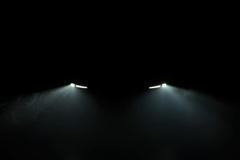 Tesla Model Y Standard