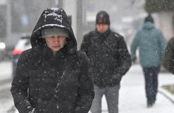 žena, bunda, kapuce, sníh, sněžení