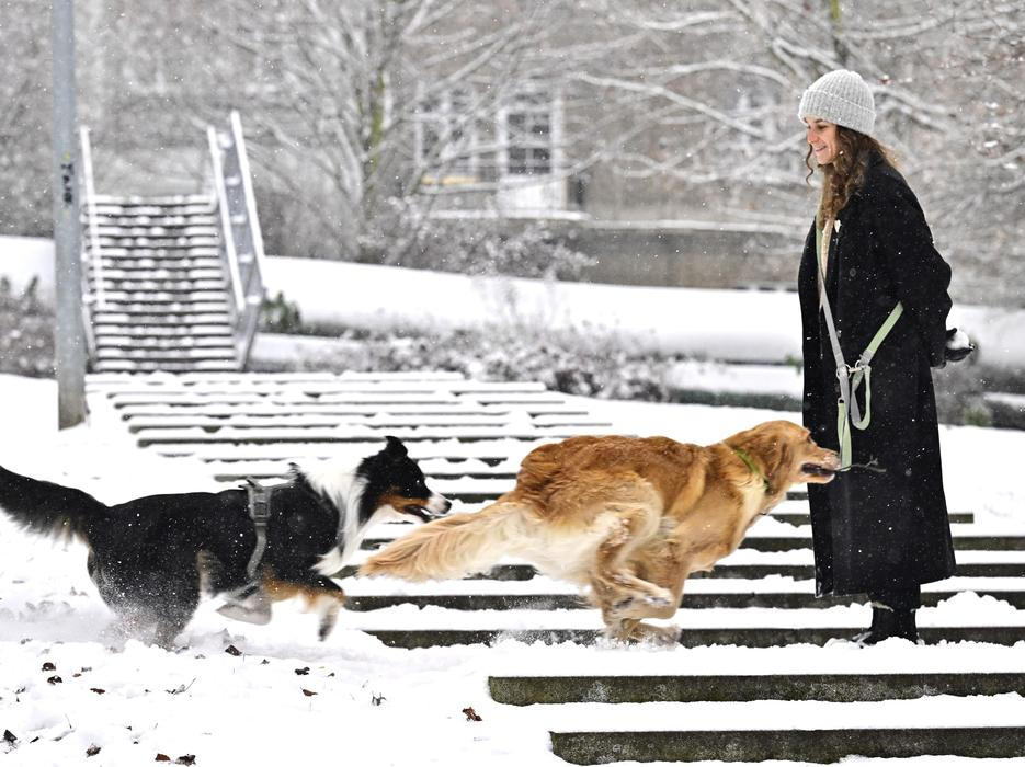 ČR-počasí-sníh-ledovka-FASTPIX