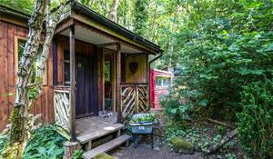 chalupa, chata, les, příroda