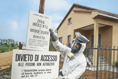 Seveso 1976: – chemický Černobyl: 30 kg jedu a tváře poznamenané navždy, Magazín, codagalerie