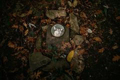 hřbitov Bohnice hřbitov bláznů