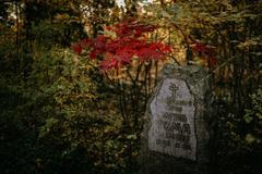 hřbitov Bohnice hřbitov bláznů