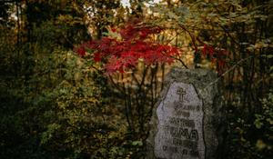 hřbitov Bohnice hřbitov bláznů