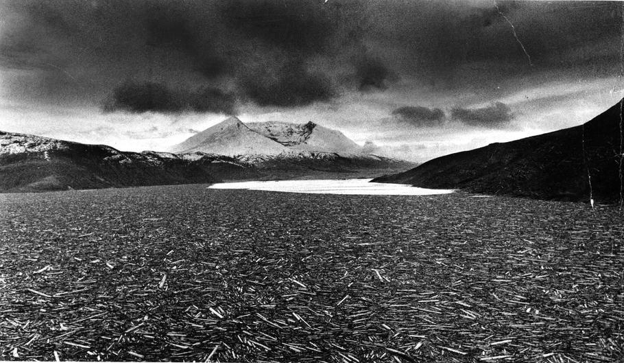 Spirit Lake, Mar 29, 1981, near  Mount St. Helens volcano, jammed with blasted timber a year after the major eruption of May 18, 1980 eruption, Photo ran 03/30/1981, P. 6