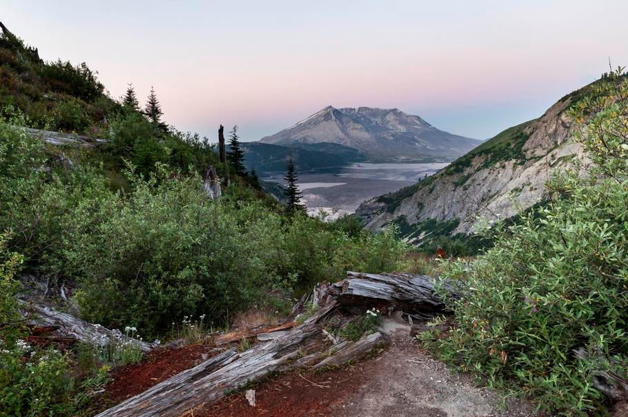 Mount St. Helens Still Recovering 40 Years After The May 18th 1980 Eruption.