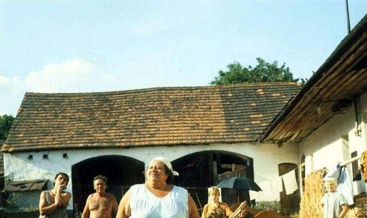 Slunce, seno erotika: Kelišová zvracela, Škopkovou museli zvedat hasiči