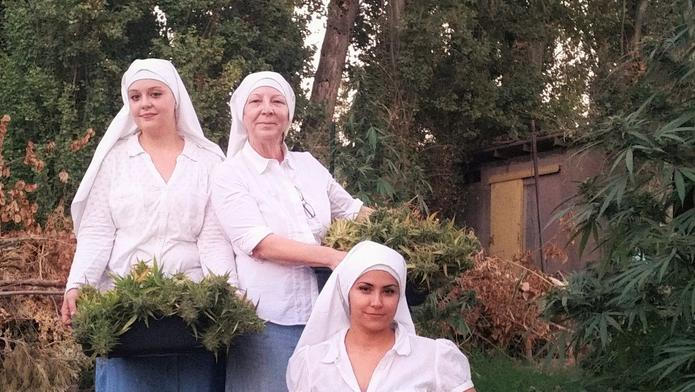 řadové sestry, marihuana, tráva, pěstování, jeptišky