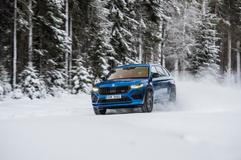 Nejprodávanější ojetinou s pohonem 4×4 v Česku je Škoda Kodiaq. Za posledních 12 měsíců se jich prodalo 7400 kusů.