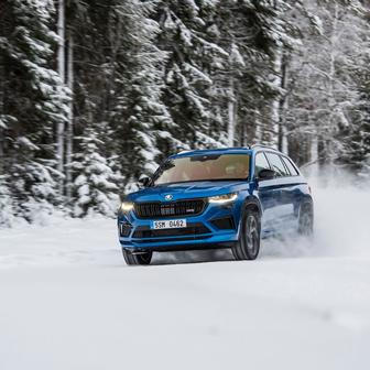 Nejprodávanější ojetinou s pohonem 4×4 v Česku je Škoda Kodiaq. Za posledních 12 měsíců se jich prodalo 7400 kusů.