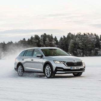 Bramborová medaile pro Škodu Octavia s 2920 prodanými kusy.