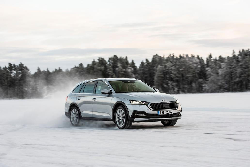 Bramborová medaile pro Škodu Octavia s 2920 prodanými kusy.