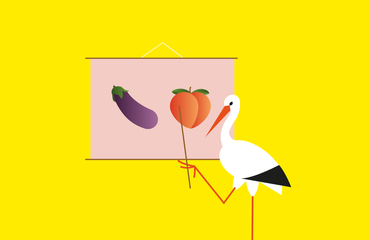 Chytré Česko - sexuální výchova