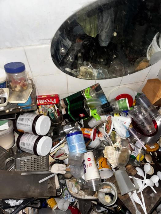 Organizace Břečťan