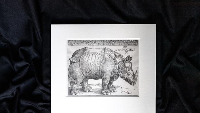Nosorožec, Akademie věd ČR, dřevořez, originál, Albrecht Dürer