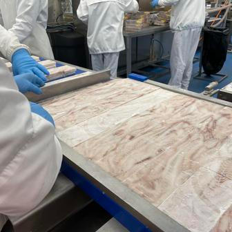 Proces výroby filé Nowaco