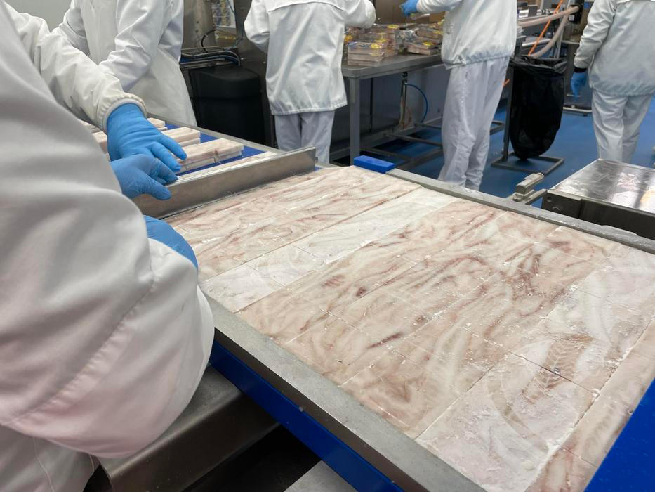 Proces výroby filé Nowaco