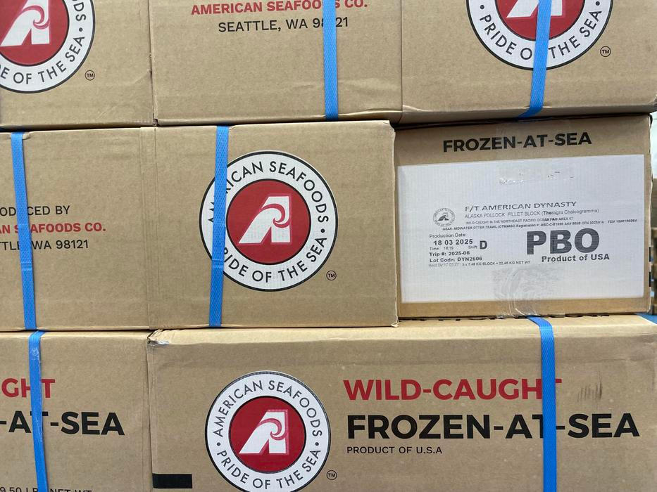 Proces výroby filé Nowaco