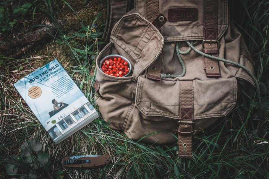 Kniha Into the Wild od Jona Krakauera detailně mapuje skutečný příběh Chrise McCandlesse. Po vydání v roce 1996 se stala bestsellerem.