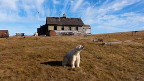 Lední medvědi obsadili opuštěnou výzkumnou stanici ze sovětské éry na ostrově Koljučin v Čukotském moři na severovýchodě Ruska.