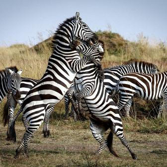 2025 in Reuters Pictures