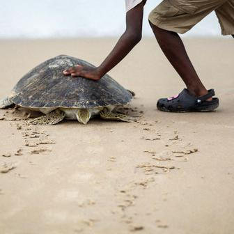 2025 in Reuters Pictures