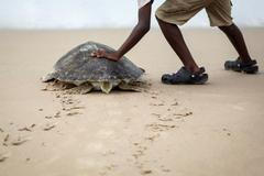 2025 in Reuters Pictures