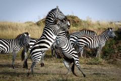 2025 in Reuters Pictures