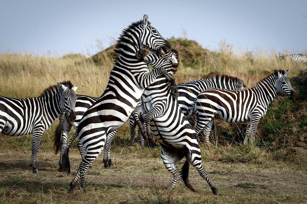 2025 in Reuters Pictures