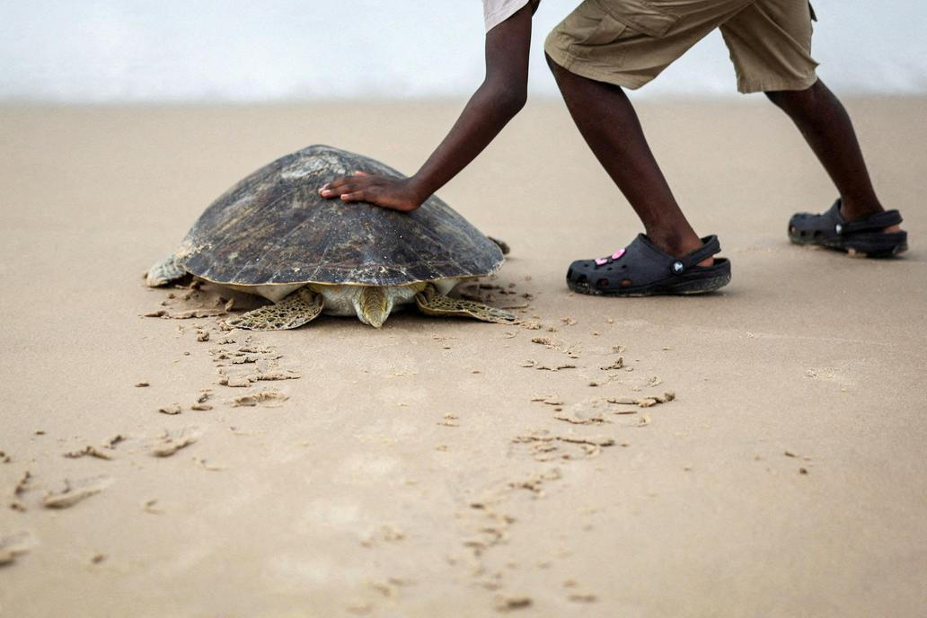 2025 in Reuters Pictures