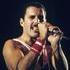 Freddie Mercury