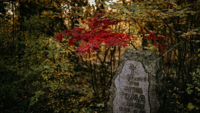 hřbitov Bohnice hřbitov bláznů