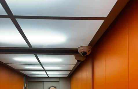 Organizace Břečťan