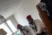 Organizace Břečťan