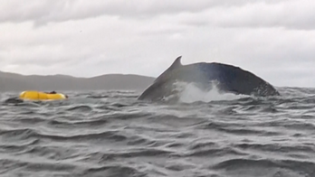 "Bylo děsivé, když jsem si myslel, že jsem umřel," říká Andrián, kterého spolkla velryba