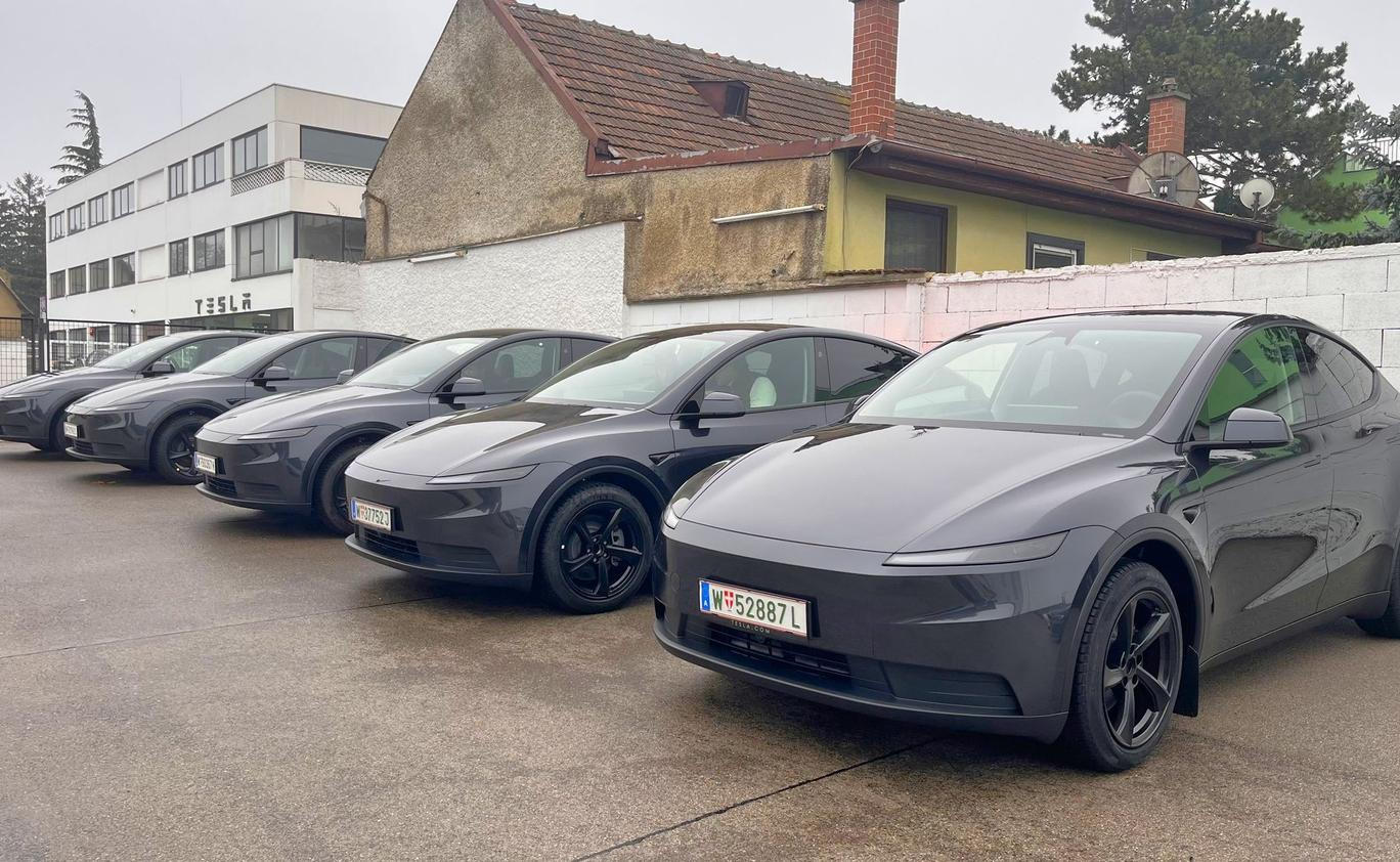 Tesla Model Y Standard