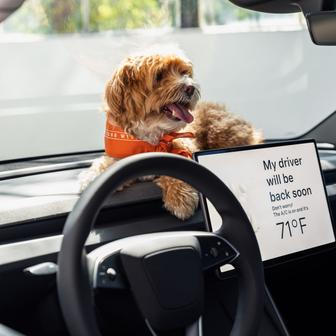 Tesla Model 3 Standard