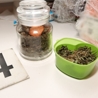 Policie ČR, Moravskoslezský kraj, krimi, policie, drogy, zásah