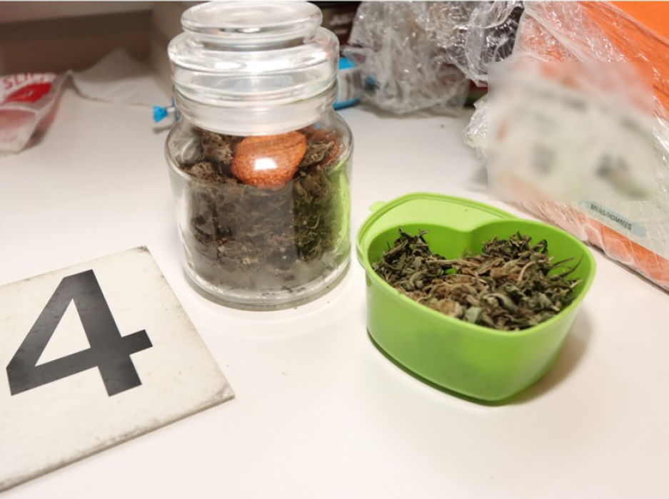 Policie ČR, Moravskoslezský kraj, krimi, policie, drogy, zásah