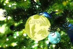 USA, Washington, Bílý dům, vánoce, výzdoba, Melanie, Donald Trump