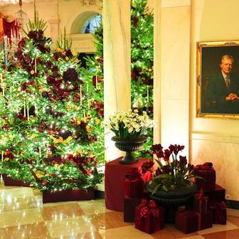 USA, Washington, Bílý dům, vánoce, výzdoba, Melanie, Donald Trump