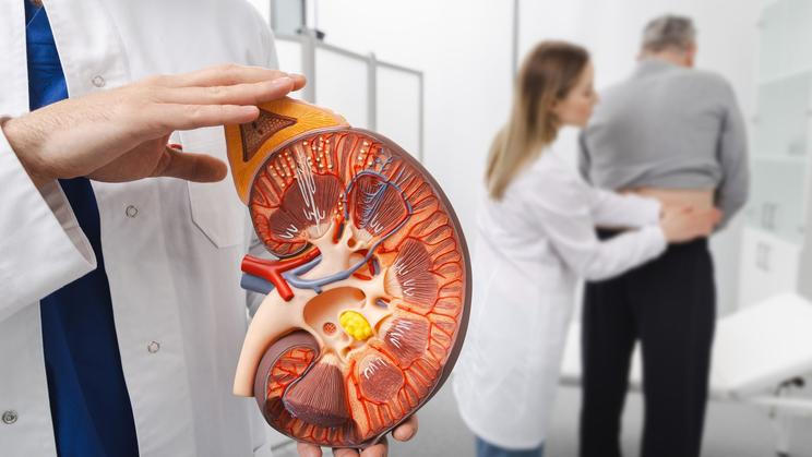 Inkubační doba vztekliny může být velmi dlouhá, někdy trvá týdny až měsíce.