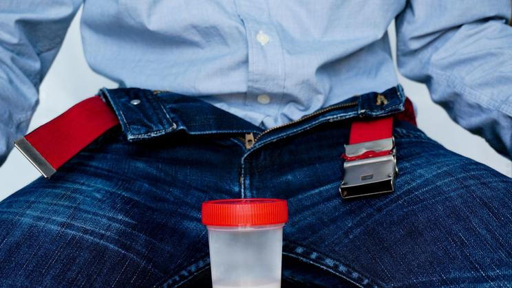 spermie, dárce, sperma