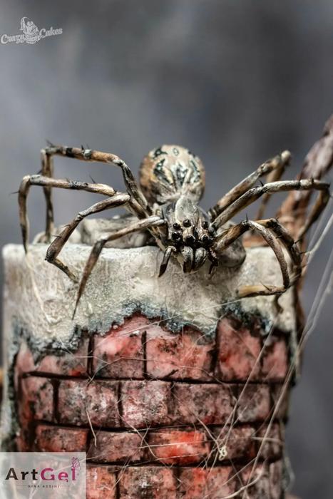 Cukrářka Lucie Charvátová