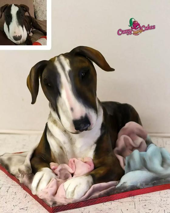 Cukrářka Lucie Charvátová